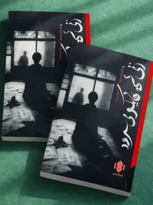 خرید کتاب زنی که هایکو می سرود نشر مهرگان خرد