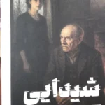 خرید کتاب شیدایی اثر ایرن نمیروفسکی نشر پارسه