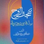 خرید کتاب بهجت الروح (رساله فارسی در موسیقی) نشر مولی