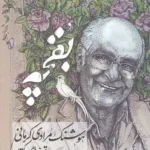خرید کتاب بقچه مجموعه 2 جلدی قصه های کوتاه و بلند هوشنگ مرادی کرمانی