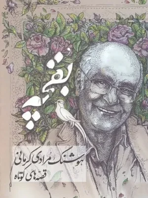 خرید کتاب بقچه مجموعه 2 جلدی قصه های کوتاه و بلند هوشنگ مرادی کرمانی