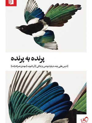 خرید کتاب پرنده به پرنده از آن لاموت اثر نشر بیدگل