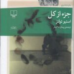 خرید کتاب جزء از کل نوشته استیو تولتز از نشر چشمه