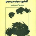 خرید کتاب اکنون میان دو هیچ اثر نیچه از نشر جامی