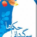 خرید کتاب سرگردانی حکم ها نوشته لورانس تاردیو از نشر تندیس