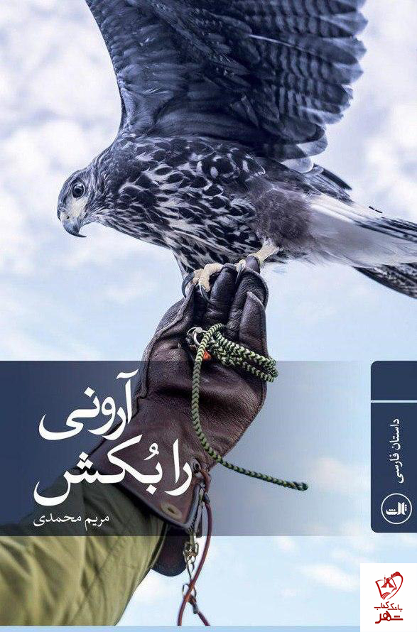 خرید کتاب آرونی را بکش نوشته مریم محمدی از نشر ثالث