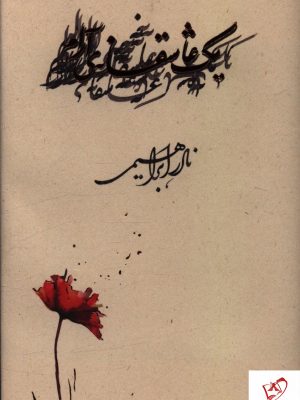 خرید کتاب یک عاشقانه آرام (گالینگور) نادر ابراهیمی از نشر روزبهان