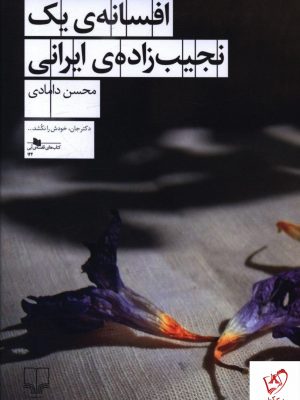خرید کتاب افسانه یک نجیب زاده ی ایرانی از نشر چشمه