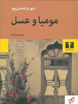 خرید کتاب مومیا و عسل نوشته شهریار مندنی پور از نشر نیلوفر
