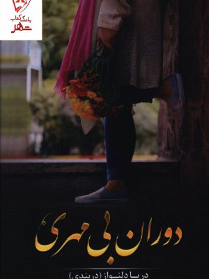 خرید کتاب دوران بی مهری انتشارات شقایق نوشته دریا دلنواز