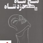 خرید کتاب گنج شاه دزد شاه نوشته محمد غلامی نشر چلچله