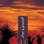 خرید کتاب فمینیسم و مردان نوشته نیکی ون درگاگ