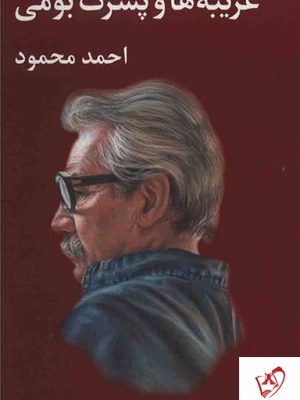 خرید کتاب غریبه ها و پسرک بومی نوشته احمد محمود نشر معین