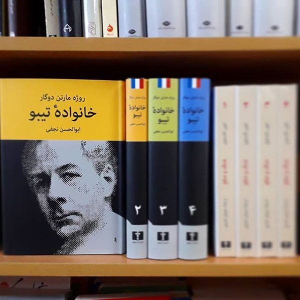 خرید کتاب خانواده تیبو (۴ جلدی) نوشته روژه مارتن دوگار از انتشارات نیلوفر - تصویر 3
