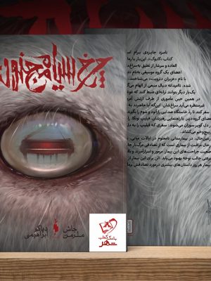 خرید کتاب چرخ سیاه مجنون نوشته جاش ملرمن از انتشارات باژ