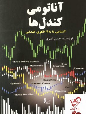 خرید کتاب آناتومی کندل ها نوشته حسن امیری انتشارات چالش