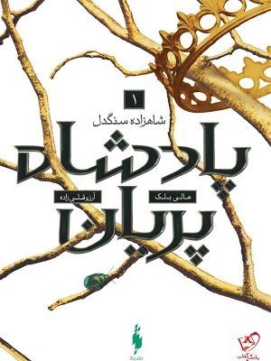 خرید کتاب پادشاه پریان (جلد 1) شاهزاده سنگدل از نشر باژ