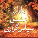 خرید کتاب باران عشق سپاس گزاری نوشته جویس مایر نشر نسل نواندیش