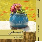 خرید کتاب اندوه ماهی نشر برکه خورشید نوشته تکین حمزه لو