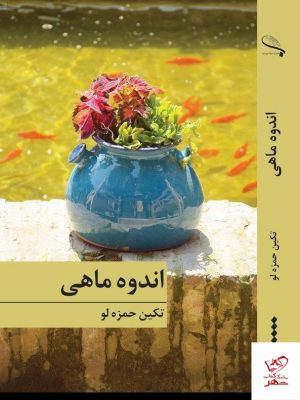 خرید کتاب اندوه ماهی نشر برکه خورشید نوشته تکین حمزه لو
