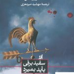 خرید کتاب سفید برفی باید بمیرد نوشته نله نویهاس انتشارات ثالث