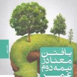 خرید کتاب یافتن معنا در نیمه دوم عمر نویسنده جیمز هالیس