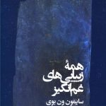خرید کتاب همه‌ی زیبایی‌ های غم‌‌ انگیز نوشته سایمون ون بوی نشر خوب