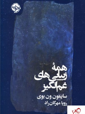خرید کتاب همه‌ی زیبایی‌ های غم‌‌ انگیز نوشته سایمون ون بوی نشر خوب