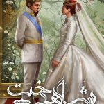 خرید کتاب انتخاب ( جلد 3 ) شاهدخت نشر باژ نوشته کایرا کاس