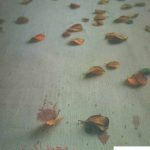 خرید کتاب سال ورزایی نوشته محمد اکبری از انتشارات پيدايش