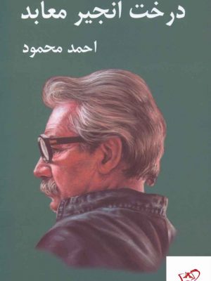 خرید کتاب درخت انجیر معابد نوشته احمد محمود