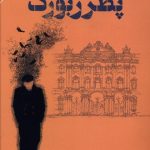 خرید کتاب پطرزبورگ نوشته آندری بیه لی از نشر مرکز