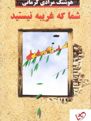 خرید کتاب شما که غریبه نیستید از انتشارات معین