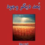 خرید کتاب بعد دیگر وجود نوشته خوزه سیلوا نشر نسل نو اندیش