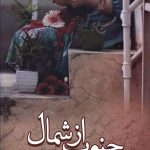 خرید کتاب جنوب از شمال از نشر شقایق