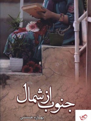 خرید کتاب جنوب از شمال از نشر شقایق