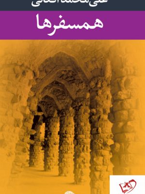 خرید کتاب همسفرها نوشته علی محمد افغانی از نشر نگاه