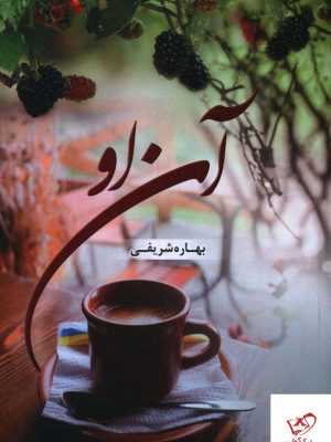 خرید کتاب آن او نوشته بهاره شریفی از نشر شقایق