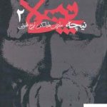 خرید کتاب نیچه 2 نوشته مارتین هایدگر از نشر آگه