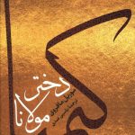 خرید کتاب کیمیا دختر مولانا نوشته موریل مافروی نشر پارسه