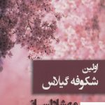 خرید کتاب اولین شکوفه گیلاس نوشته مهشاد لسانی از نشر شادان