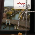 خرید کتاب بومرنگ نوشته الناز محمدی از نشر سخن