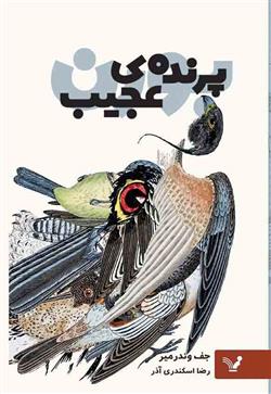 خرید کتاب پرنده عجیب (بورن) نوشته جف وندرمیر نشر تندیس