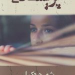 خرید کتاب پریشانی نوشته شهره وکیلی از نشر شادان