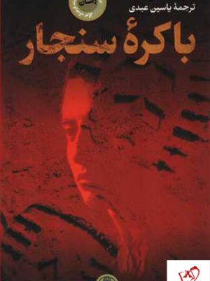 خرید کتاب باکره سنجار نوشته وارد بدرالسالم از نشر پارسه