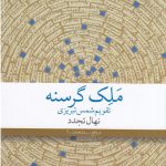 خرید کتاب ملک گرسنه نوشته نهال تجدد از نشر چشمه