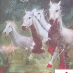 خرید کتاب اربابهای آقچاساز (2جلدی) نوشته یاشار کمال نشر دنیای نو