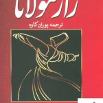 خرید کتاب راز مولانا (اسرار ناگفته ی زندگی مولانا) نوشته برد گوچ