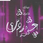 خرید کتاب چشمه روشن (دیداری با شاعران) دکتر غلامحسین یوسفی