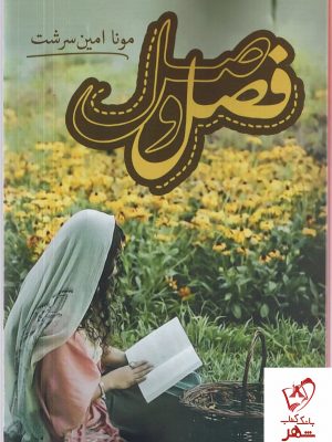 خرید کتاب فصل وصل نوشته مونا امین سرشت از نشر شقایق